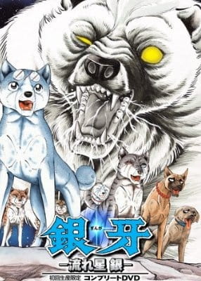 دانلود انیمه Ginga Nagareboshi Gin