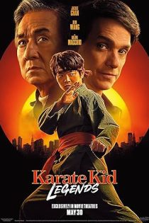 karate kid legends 43242