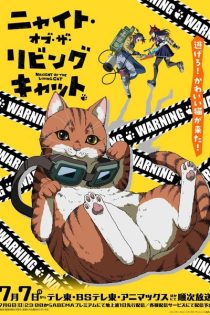 nyaight of the living cat 43377