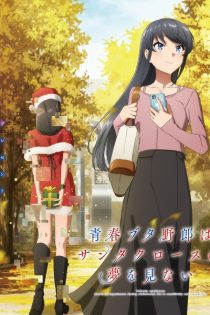 seishun buta yarou wa santa claus no yume wo minai 43217